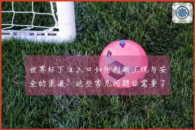 世界杯下注入口如何判断正规与安全的渠道？这些常见问题你需要了解