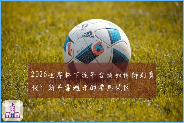 2026世界杯下注平台该如何辨别真假?新手需避开的常见误区