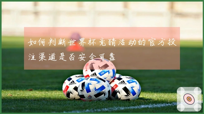 如何判断世界杯竞猜活动的官方投注渠道是否安全可靠