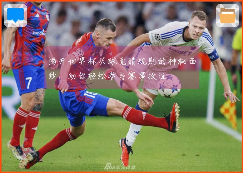 揭开世界杯买球竞猜规则的神秘面纱，助你轻松参与赛事投注
